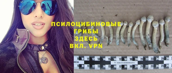 дмт Алзамай